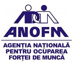 ANOFM / FII Informat
