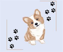 Protectia Animalelor CJ Gorj