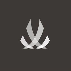 BMG CONSULTING