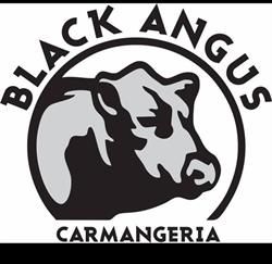 CARMANGERIA BLACK ANGUS CONSTANTA