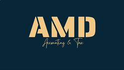 AMD ACCOUNTING & TAX SRL