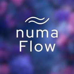 numaFlow