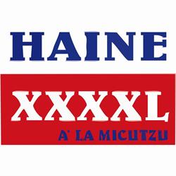HAINE XXXXL ALAMICUTZU
