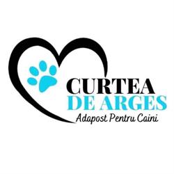 Curtea de Argeş adăpost pentru câini