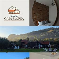 Casa Florea Stanceni