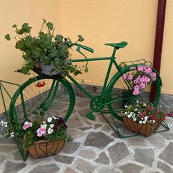Casa de vacanta - Ograda cu flori