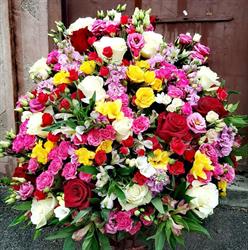 Floraria Julianto Dream