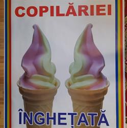 Bucuria Copilariei