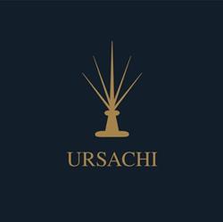 Ursachi
