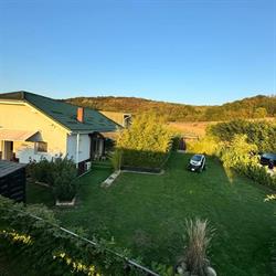 Bambuus Garden