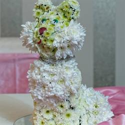 EveDesign