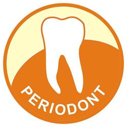 Periodont