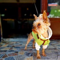 Yoyo's Irish Pub