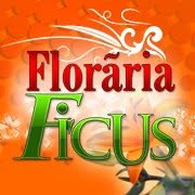 Floraria Ficus