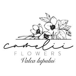 Camelii Flowers
