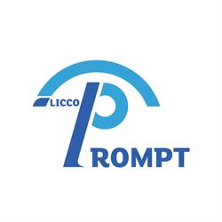 Licco Prompt