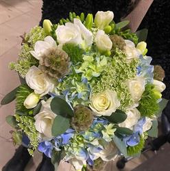 Floraria Ely's