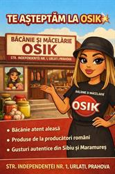 Băcanie şi Măcelarie OŞIK