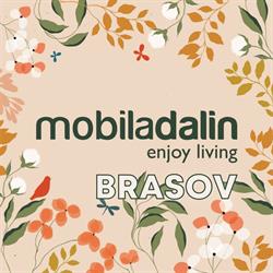 MobilaDalin Brasov