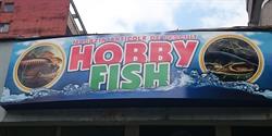 Hobby Fish