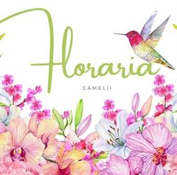 Floraria Camelii