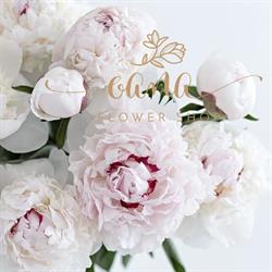 Oana Flower Shop