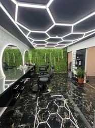 ROA Studio20