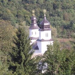 Orbic