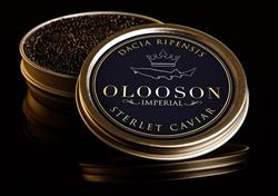 Caviar Factory