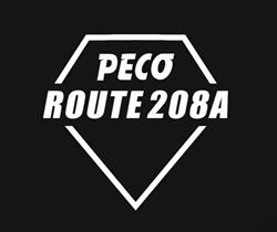 PECO \"Route 208 A\"