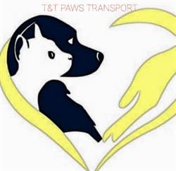 T&T PAWS TRANSPORT