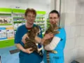 ARCAVET Cabinet Veterinar Galati