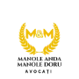 Logo Anda Manole