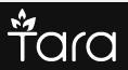 Scarlett Clothing International S.r.l.