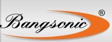 Bangsonic SRL