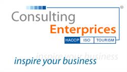 Consulting Enterprices