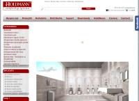 Website HOLDMANN IASI