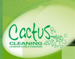 Cactus Cleaning S.r.l