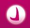 SC Perla Grup SRL