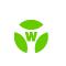SC Wieland Electric SRL