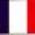 Traducere limba franceza