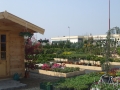SC Aquaplant SRL