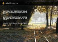 Website Alicat Consulting SRL