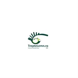 Trepte Lemn
