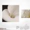 Panouri decorative