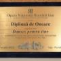 Placheta gravata pt. baletul "Dansez pentru tine"