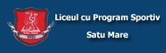 Liceul Cu Program Sportiv Satu Mare