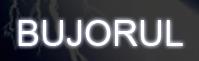 Bujorul SRL