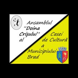 Ansamblul Doina Crisului Brad