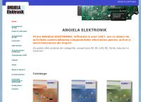 Website SC Angiela Elektronik SRL
